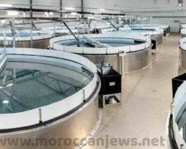 شركة إسرائيلية تطلق مشروع الاستزراع المائي في الصحراء المغربية